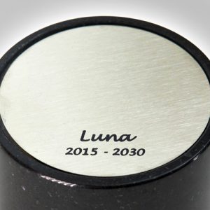 020-Laserschriftzug für D09